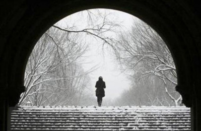 the housewife the housewife