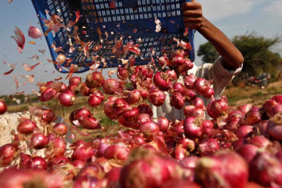 sca rejects demand for onion import sca rejects demand for onion import