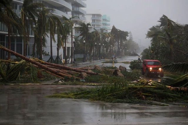 a vehicle passes downed palm trees and two cyclists attempt to ride as hurricane irma passed through the area on september 10 2017 in miami beach florida photo afp a vehicle passes downed palm trees and two cyclists attempt to ride as hurricane irma passed through the area on september 10 2017 in miami beach florida photo afp