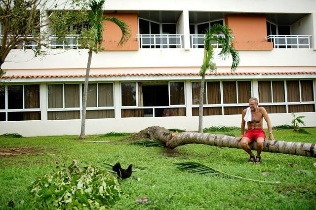 british tourist terry gill watches a chicken and its chicks as he rests on a broken palm tree a day after the passage of hurricane irma in varadero cuba september 10 2017 photo reuters british tourist terry gill watches a chicken and its chicks as he rests on a broken palm tree a day after the passage of hurricane irma in varadero cuba september 10 2017 photo reuters
