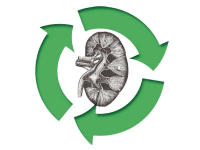 sargodha s debt ridden class has nothing to sell but their kidneys sargodha s debt ridden class has nothing to sell but their kidneys