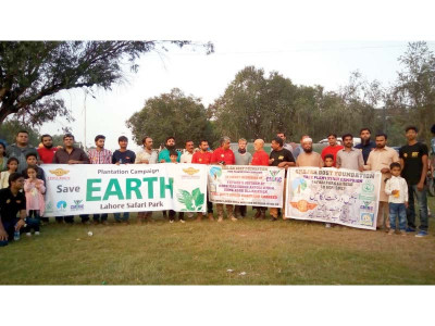 safari zoo park gets 100 new plants safari zoo park gets 100 new plants