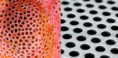 phobia triggered as woman s facebook post goes viral