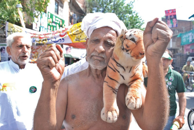 a topless elderly man carries a stuffed tiger toy to express his support for his political outfit photo nni a topless elderly man carries a stuffed tiger toy to express his support for his political outfit photo nni