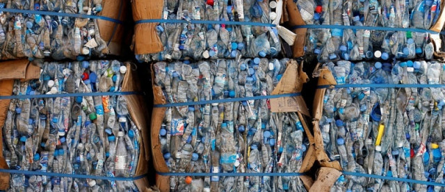 a fungus called aspergillus tubingensis has been found to break down plastic in a matter of weeks photo reuters a fungus called aspergillus tubingensis has been found to break down plastic in a matter of weeks photo reuters