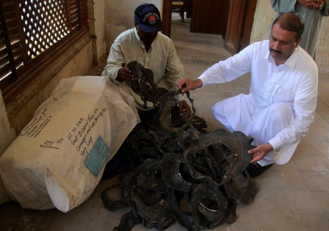 sindh wildlife department swd on tuesday recovered a consignment of turtle meat which was scheduled to be smuggled to hong kong via pakistan postal service photo express athar khan sindh wildlife department swd on tuesday recovered a consignment of turtle meat which was scheduled to be smuggled to hong kong via pakistan postal service photo express athar khan