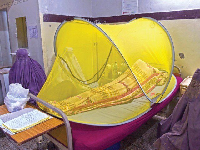 hospital had to vacate other wards to make room for infected patients photo express