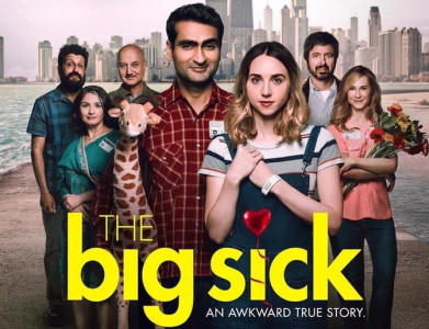 the big sick review of pakistani eccentricities and intercultural love the big sick review of pakistani eccentricities and intercultural love