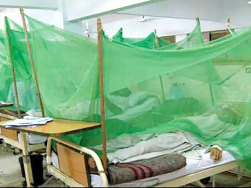 two more die of dengue virus in peshawar toll rises to 30