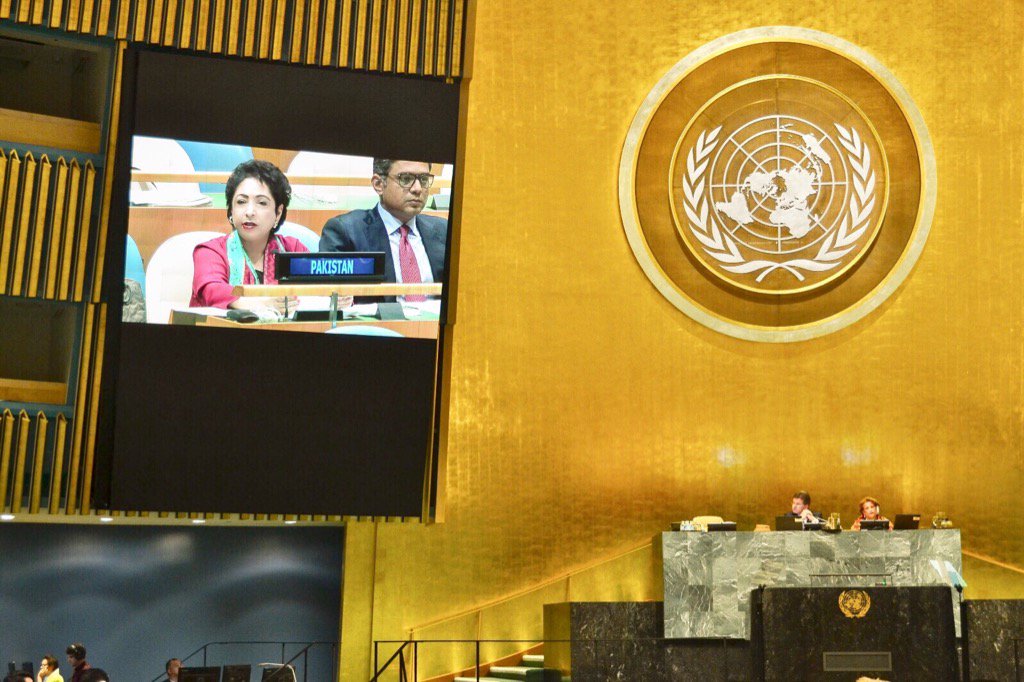 ambassador to un maleeha lodhi says india has considerable experience in state sponsorship of terrorism in our region photo courtesy lodhimaleeha