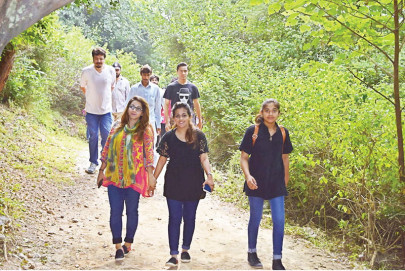 unhealthy diets inactivity chief reasons for heart diseases unhealthy diets inactivity chief reasons for heart diseases