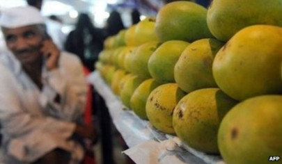 mango exports earned pakistan 94m in 2 years mango exports earned pakistan 94m in 2 years