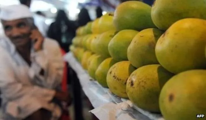 mangoes photo afp mangoes photo afp