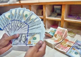 govt cuts deal to settle rs1 25tr circular debt