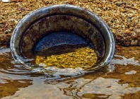 five killed in gunfight over illegal gold mining