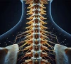 sindh grapples with spinal care deficit sindh grapples with spinal care deficit