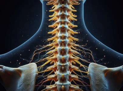 sindh grapples with spinal care deficit sindh grapples with spinal care deficit