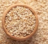 new policy to provide quality seeds