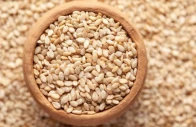 new policy to provide quality seeds