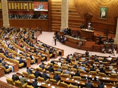 mpas lament neglect of mother tongue mpas lament neglect of mother tongue