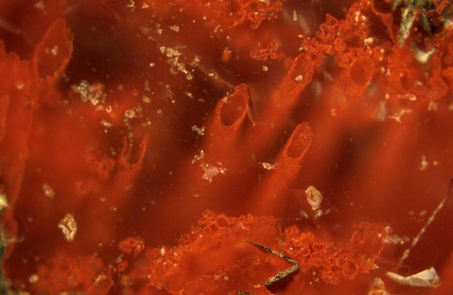 haematite tubes from the nsb hydrothermal vent deposits in quebec canada that represent the oldest microfossils and evidence for life on earth are pictured in this undated handout photo the remains are at least 3 770 million years old photo reuters