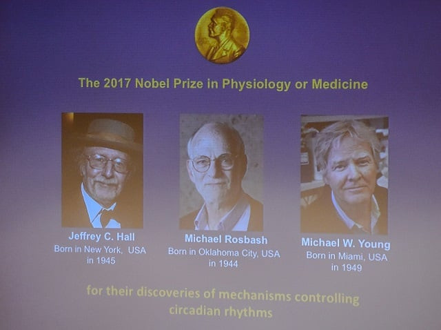 winners of the 2017 nobel prize in physiology or medicine left to right jeffrey c hall michael rosbash and michael w young are pictured on a display during a press conference at the karolinska institute in stockholm photo afp winners of the 2017 nobel prize in physiology or medicine left to right jeffrey c hall michael rosbash and michael w young are pictured on a display during a press conference at the karolinska institute in stockholm photo afp