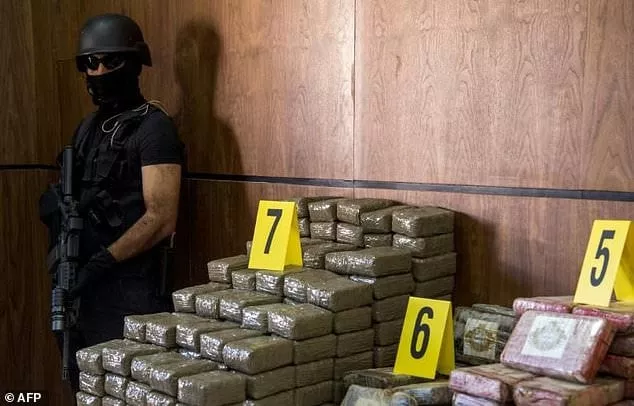 a picture taken on october 4 2017 shows seized drugs and weapons on display at the central office of criminal investigation in the moroccan capital marrakesh photo afp a picture taken on october 4 2017 shows seized drugs and weapons on display at the central office of criminal investigation in the moroccan capital marrakesh photo afp