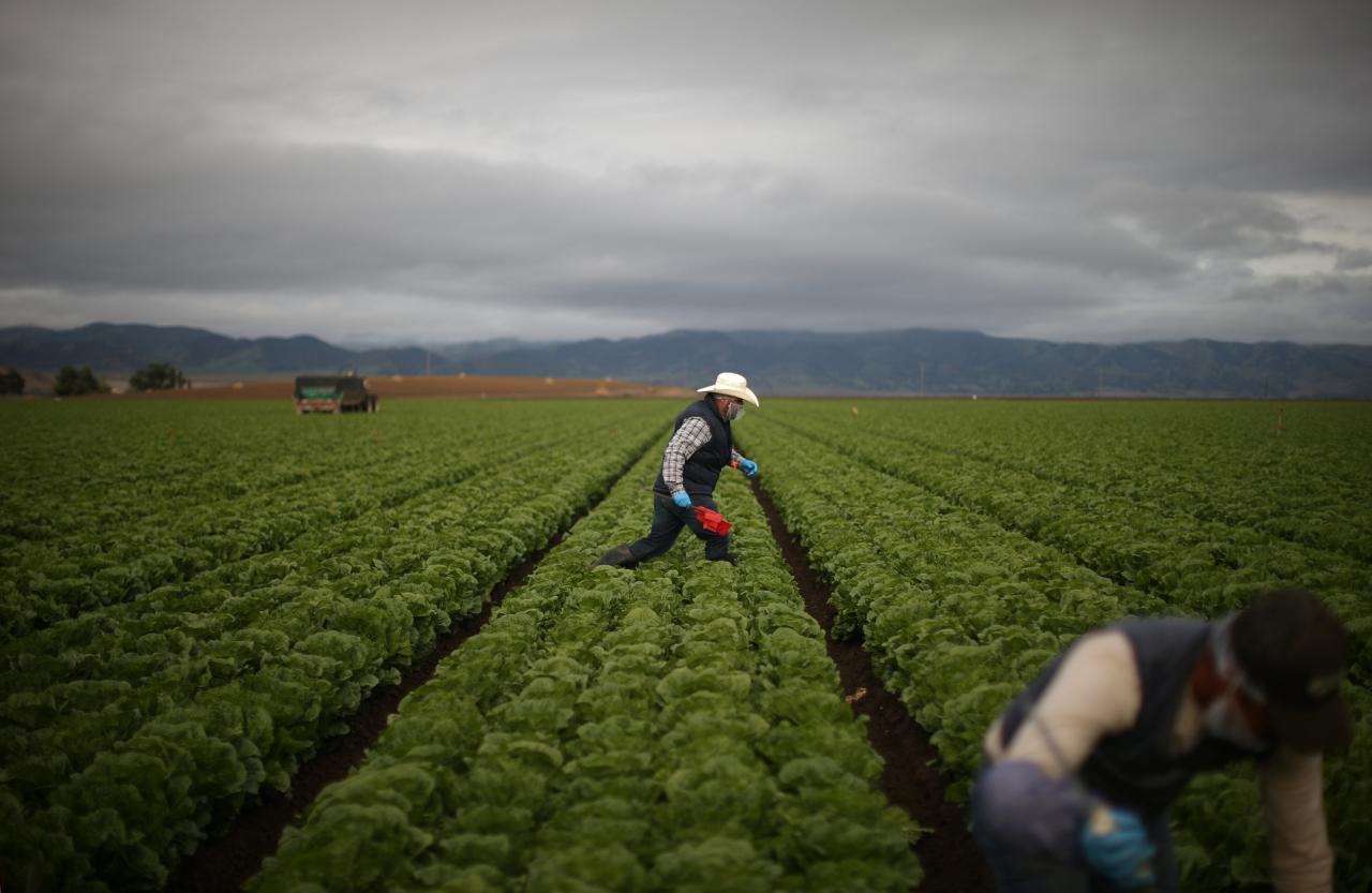 photo reuters