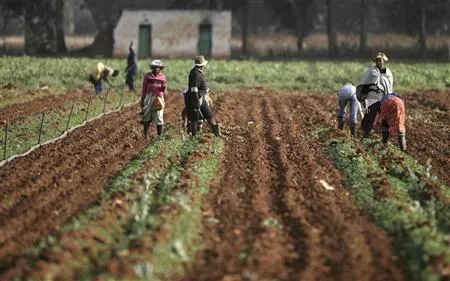 farm workers are seen at a farm photo reuters farm workers are seen at a farm photo reuters