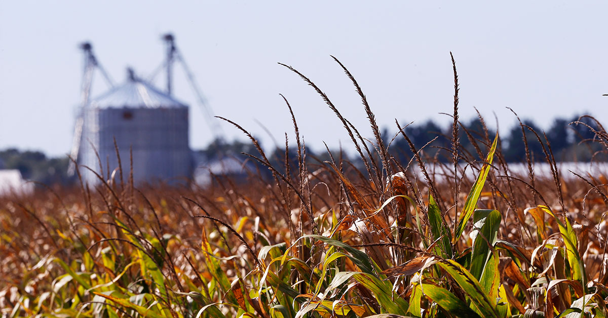 a representational image of a farm photo reuters