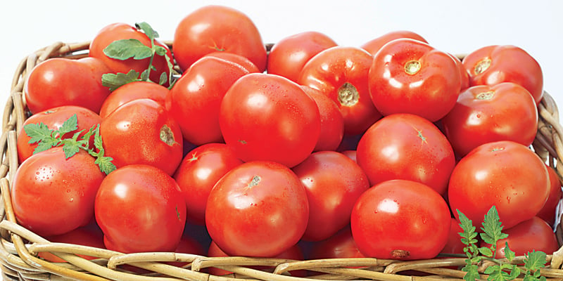 Govt fails to control prices of tomatoes despite claims