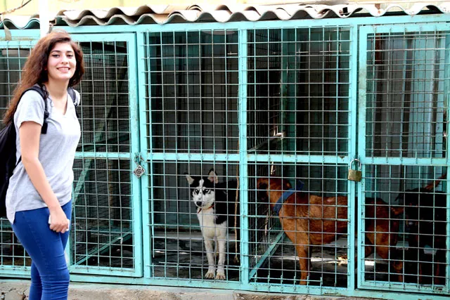 agricultural college student assan attallah 22 plays with animals at a shelter in the iraqi capital baghdad on september 20 2017 photo afp agricultural college student assan attallah 22 plays with animals at a shelter in the iraqi capital baghdad on september 20 2017 photo afp
