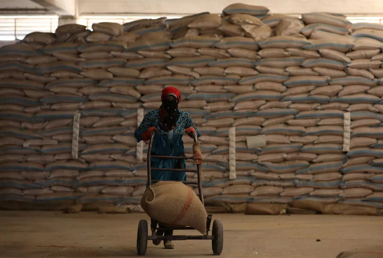 a woman pushes a cart loaded with a sack of wheat in qamishli syria september 18 2017 photo reuters a woman pushes a cart loaded with a sack of wheat in qamishli syria september 18 2017 photo reuters