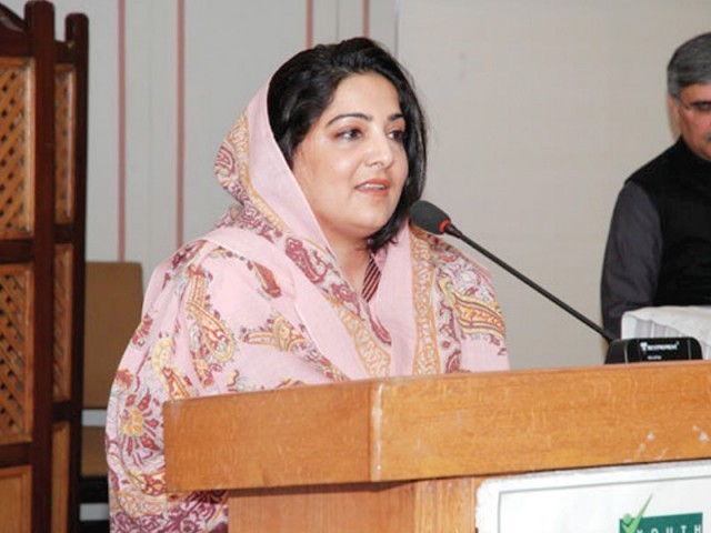 minister of state for information technology and telecommunication anusha rahman photo file