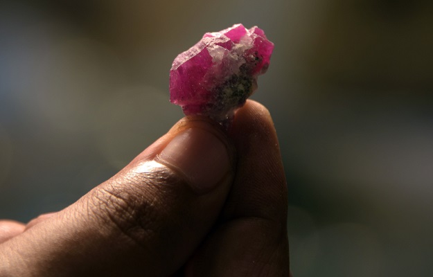 a pakistani employee of azad kashmir mineral and industrial development corporation akmidc showing a ruby gemstone at their auction place in muzaffarabad photo afp