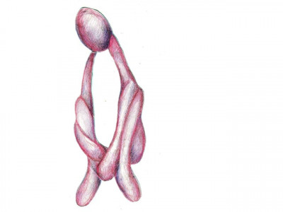 miscarriage who i tried to forgive what i tried to forget