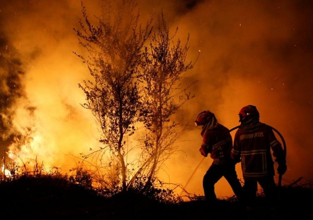 firefighters work to extinguish flames from a forest fire in cabanoes near lousa portugal photo reuters