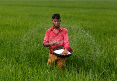 fauji fertiliser bin qasim earns rs518m in 3q2017