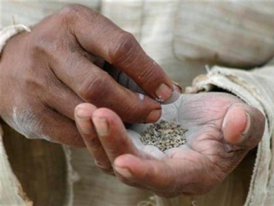 shc asks provincial govt to legislate implement food law on gutka mainpuri shc asks provincial govt to legislate implement food law on gutka mainpuri