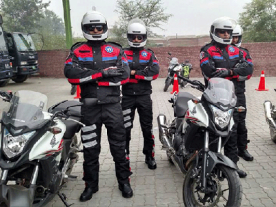 dolphin force set to expand further cm