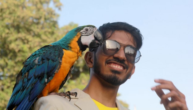 ranging from cats and dogs to parrots and turtles animals of various breeds and sizes at the pet show at park towers captivated the attention of visitors photo athar khan ranging from cats and dogs to parrots and turtles animals of various breeds and sizes at the pet show at park towers captivated the attention of visitors photo athar khan