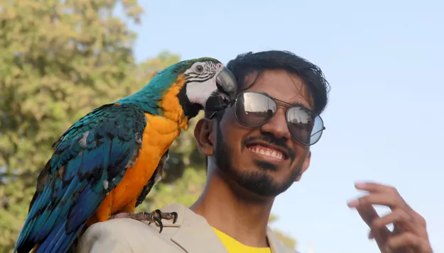 ranging from cats and dogs to parrots and turtles animals of various breeds and sizes at the pet show at park towers captivated the attention of visitors photo athar khan ranging from cats and dogs to parrots and turtles animals of various breeds and sizes at the pet show at park towers captivated the attention of visitors photo athar khan