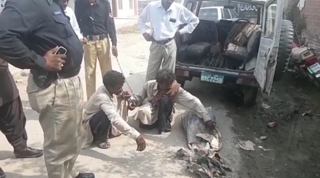 the two poachers in police custody along with the tortoise meat photo screengrab the two poachers in police custody along with the tortoise meat photo screengrab