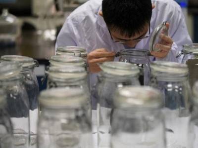 engro polymer wants to build naphtha cracker complex