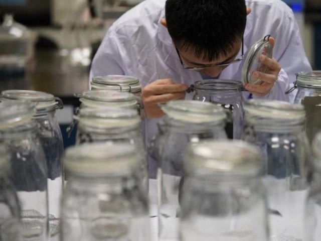 an employee conducts an quot odor test quot at a polymer laboratory photo reuters an employee conducts an quot odor test quot at a polymer laboratory photo reuters