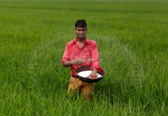 a farmer spreads fertiliser in his rice field photo reuters a farmer spreads fertiliser in his rice field photo reuters