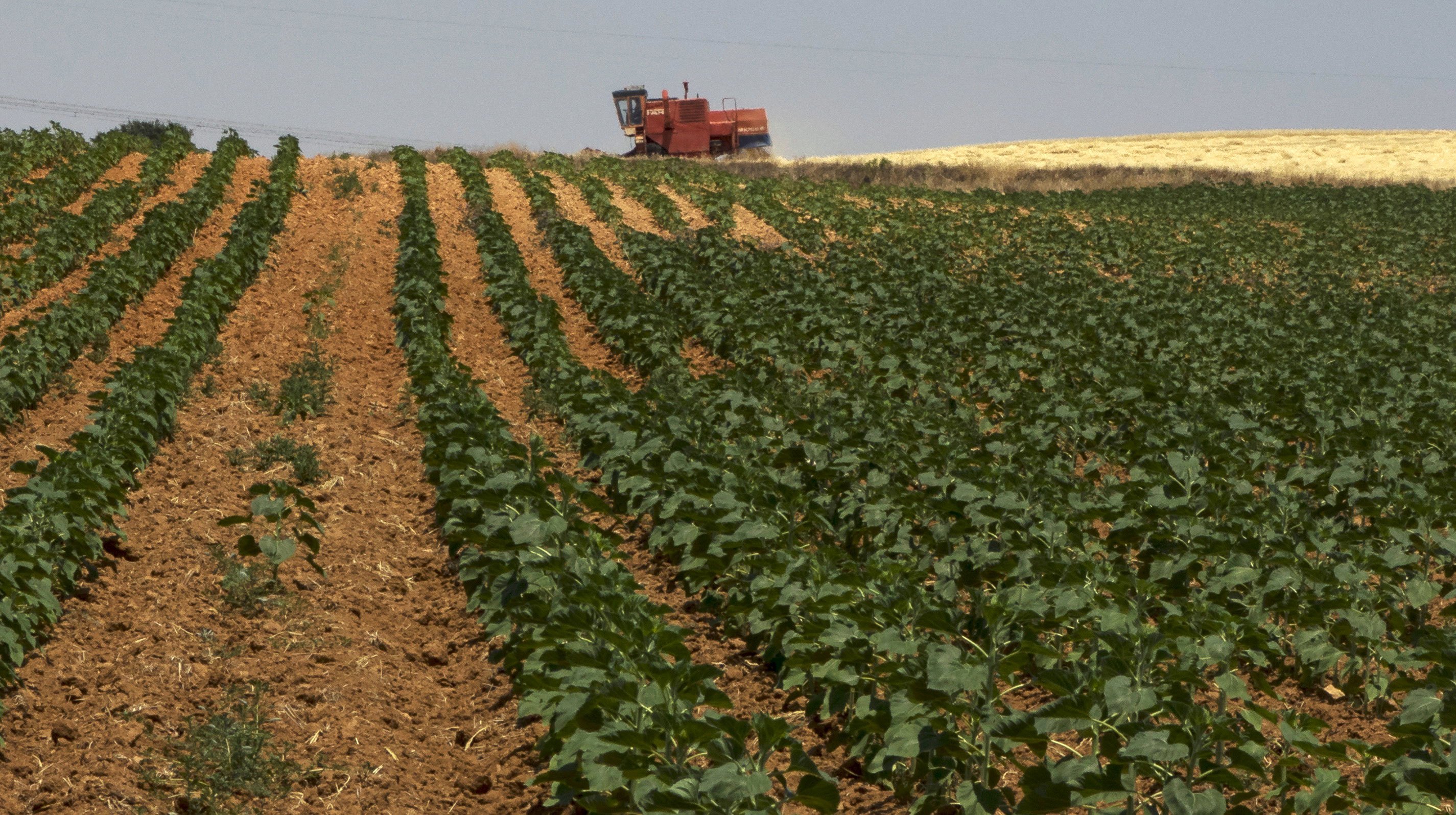 agricultural land photo reuters