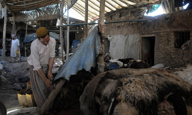 raw leather hides photo afp