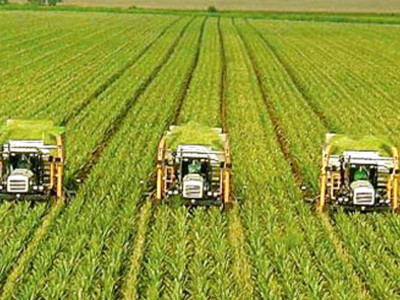 balochistan can earn pakistan up to 1 billion a year