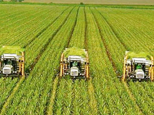 pfva says that the establishment of grading processing and packing plants as common facilities in various parts of balochistan is imminent photo file pfva says that the establishment of grading processing and packing plants as common facilities in various parts of balochistan is imminent photo file